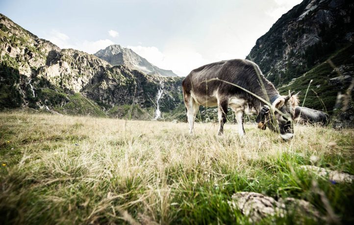 Nachhaltiger Urlaub Tirol